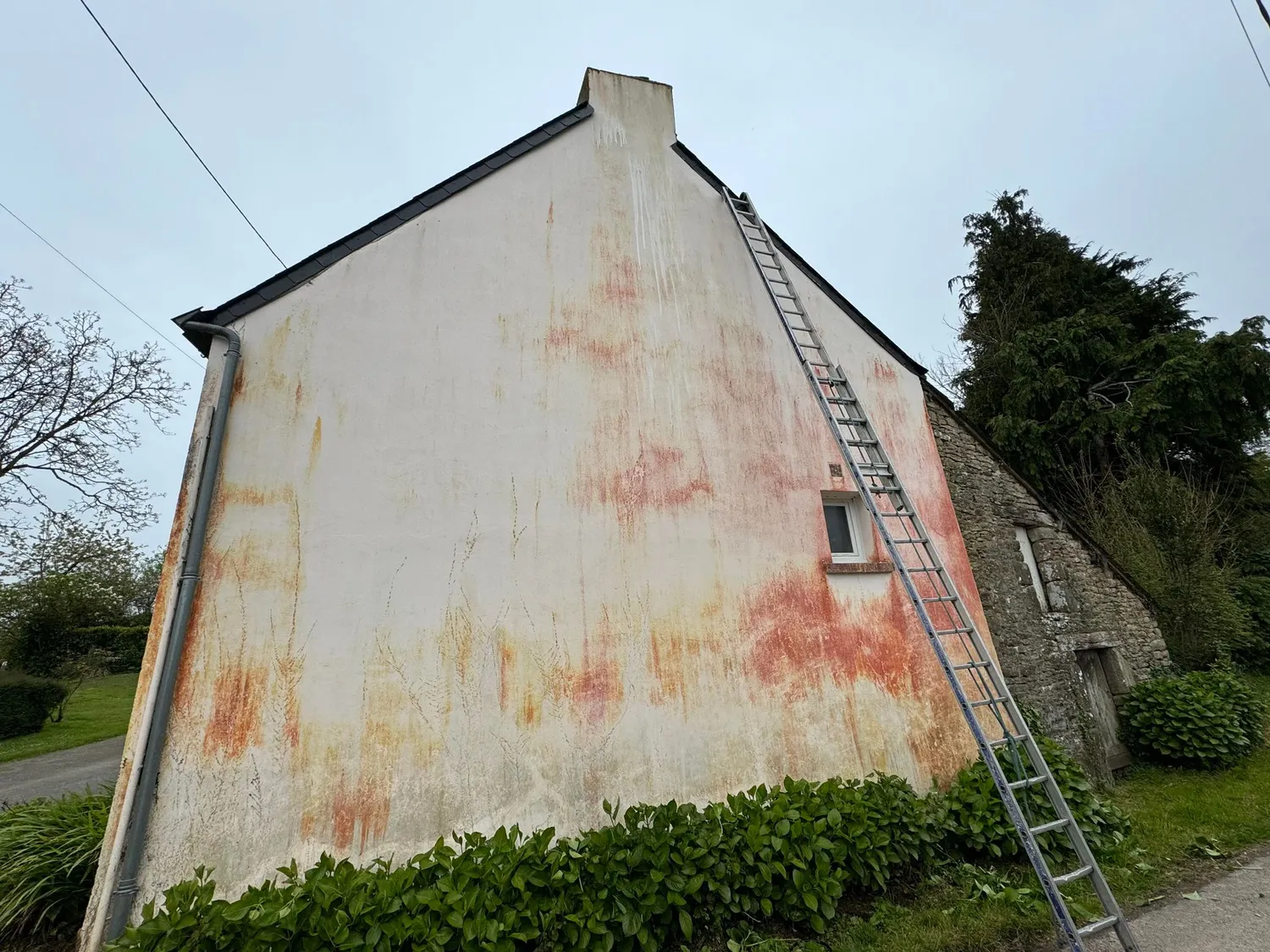 before-image