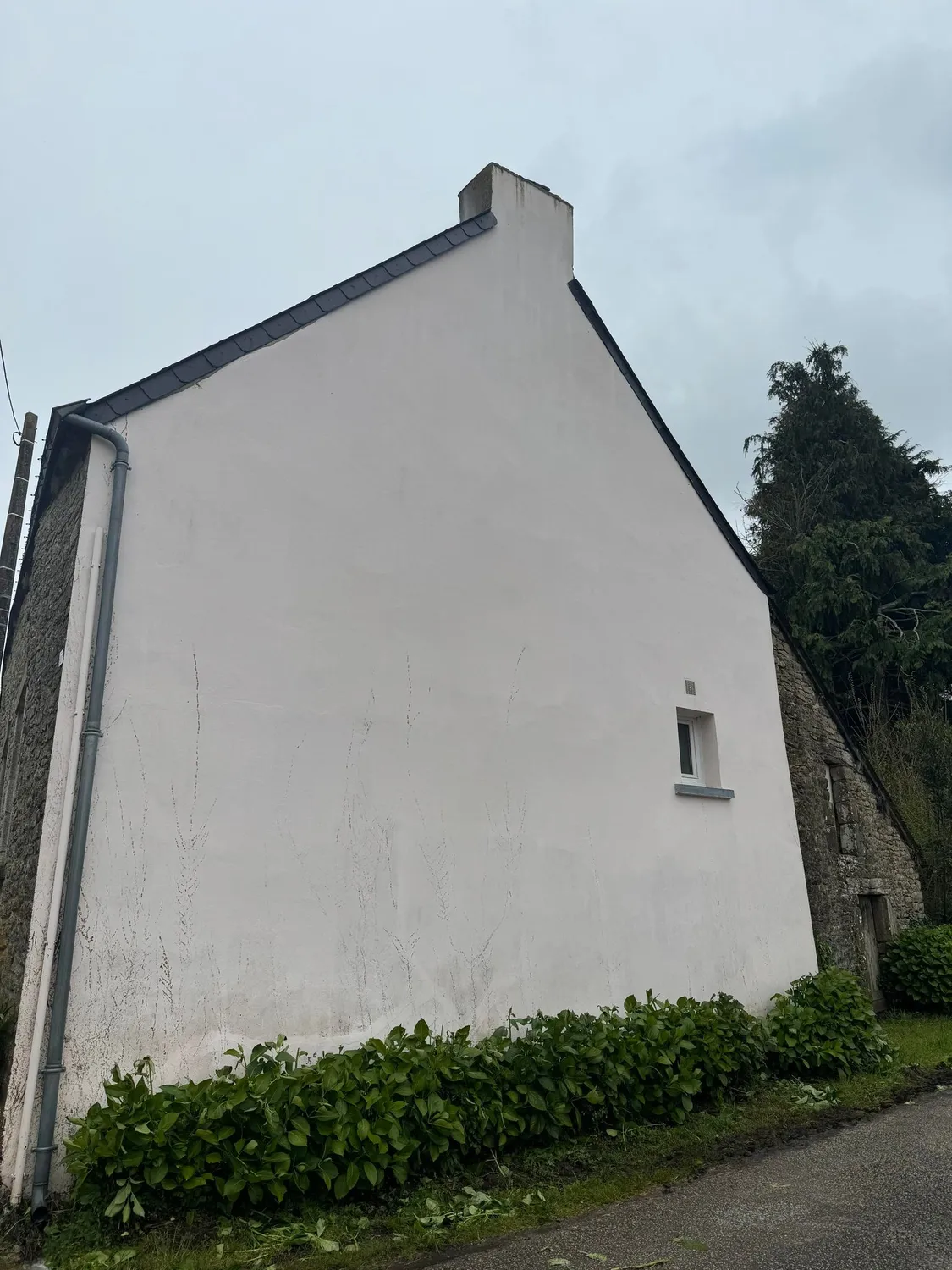 after-image