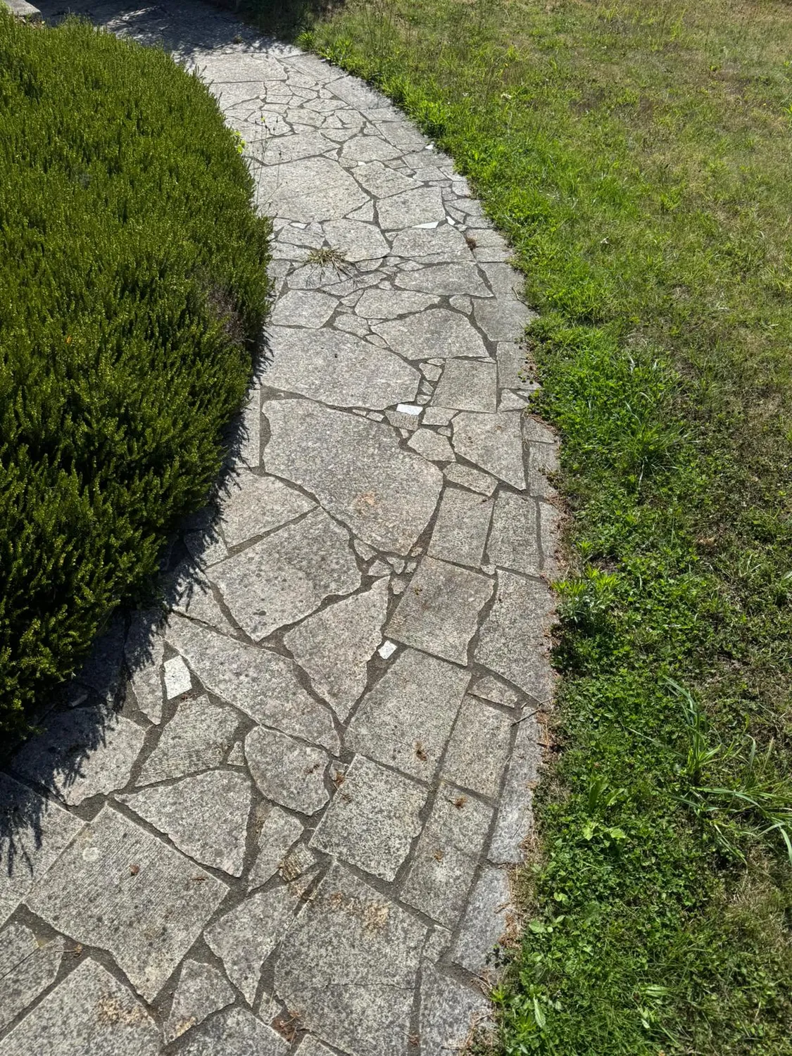 before-image